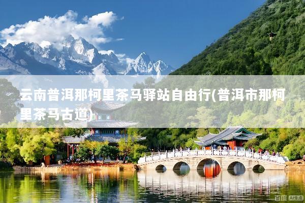 云南普洱那柯里茶马驿站自由行(普洱市那柯里茶马古道)