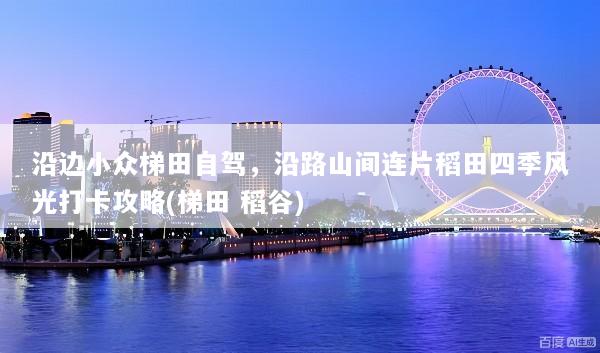 沿边小众梯田自驾，沿路山间连片稻田四季风光打卡攻略(梯田 稻谷)