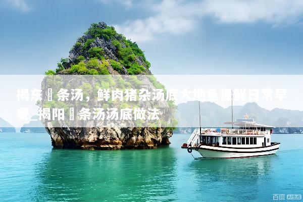 揭东粿条汤，鲜肉猪杂汤底大地鱼提鲜日常早餐_揭阳粿条汤汤底做法
