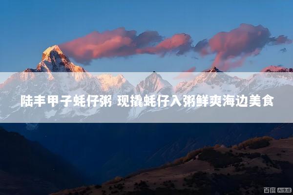陆丰甲子蚝仔粥 现撬蚝仔入粥鲜爽海边美食
