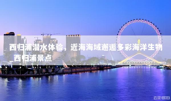 西归浦潜水体验，近海海域邂逅多彩海洋生物_西归浦景点