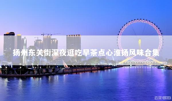 扬州东关街深夜逛吃早茶点心淮扬风味合集