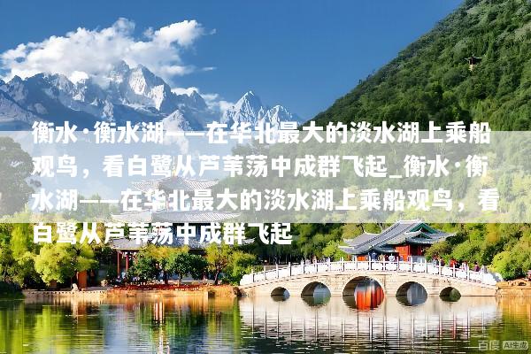 衡水·衡水湖——在华北最大的淡水湖上乘船观鸟，看白鹭从芦苇荡中成群飞起_衡水·衡水湖——在华北最大的淡水湖上乘船观鸟，看白鹭从芦苇荡中成群飞起