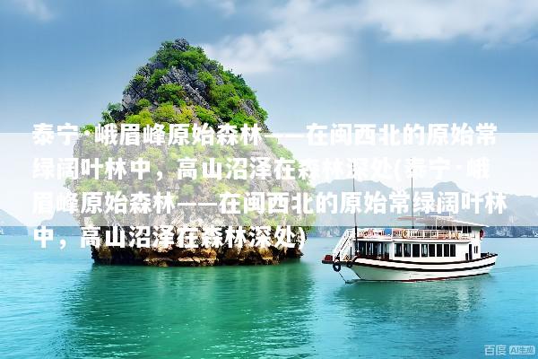 泰宁·峨眉峰原始森林——在闽西北的原始常绿阔叶林中，高山沼泽在森林深处(泰宁·峨眉峰原始森林——在闽西北的原始常绿阔叶林中，高山沼泽在森林深处)