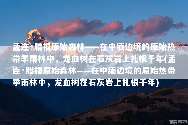 孟连·腊福原始森林——在中缅边境的原始热带季雨林中，龙血树在石灰岩上扎根千年(孟连·腊福原始森林——在中缅边境的原始热带季雨林中，龙血树在石灰岩上扎根千年)