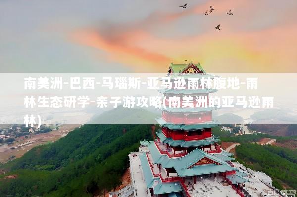 南美洲-巴西-马瑙斯-亚马逊雨林腹地-雨林生态研学-亲子游攻略(南美洲的亚马逊雨林)